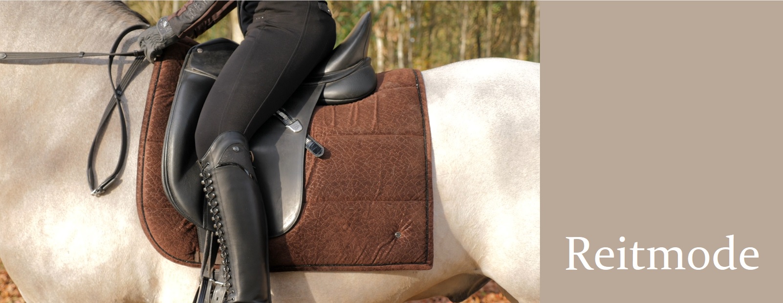 Reitmode