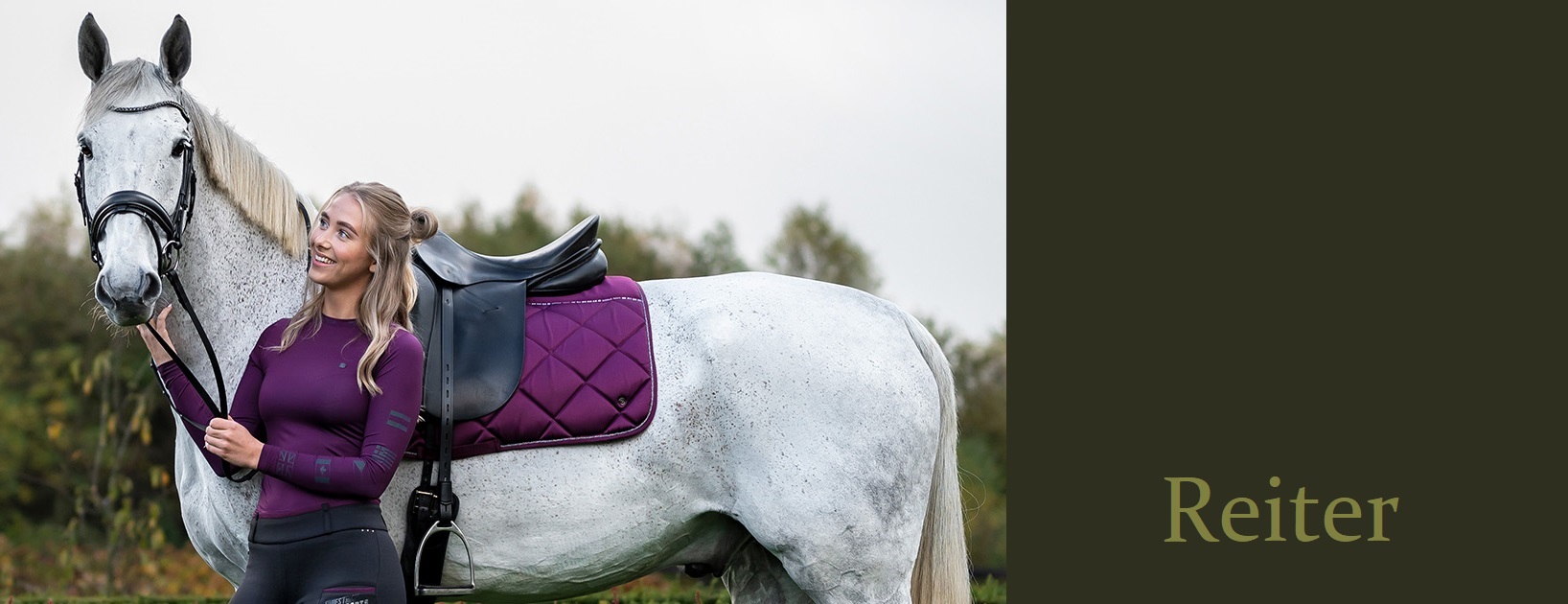 Reiter